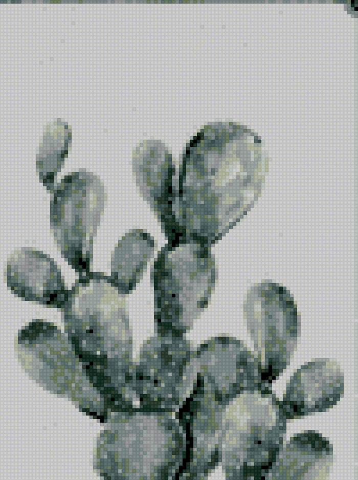 1 - предпросмотр