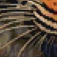 Предпросмотр схемы вышивки «тигр» (№2706035)