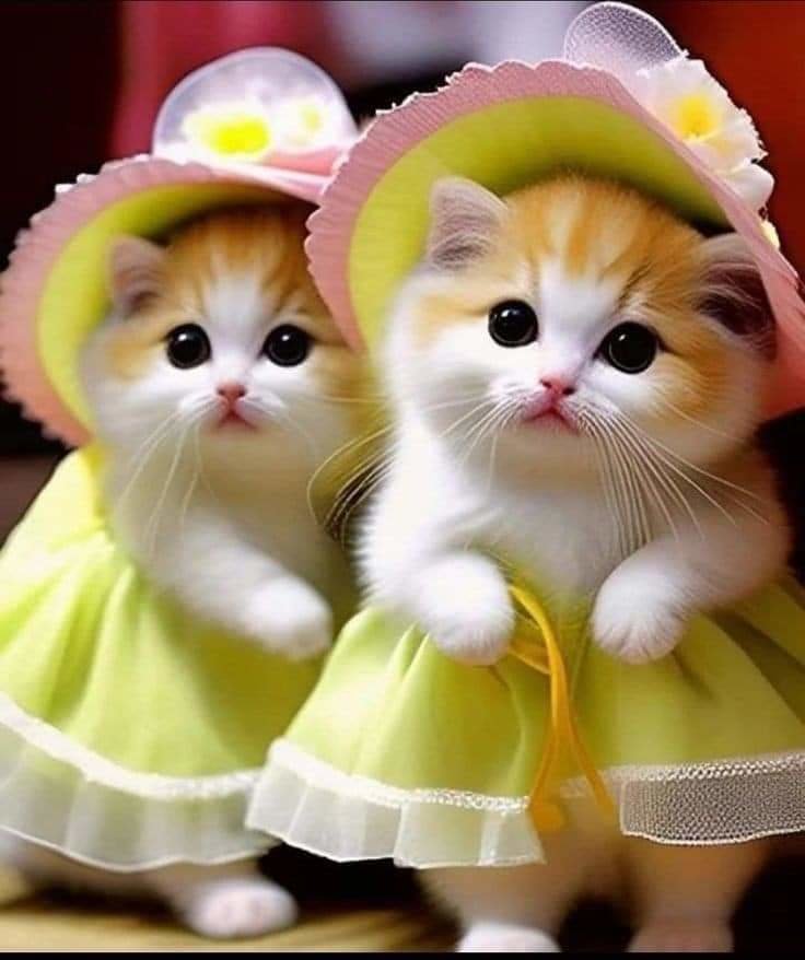 №2706146 - оригинал