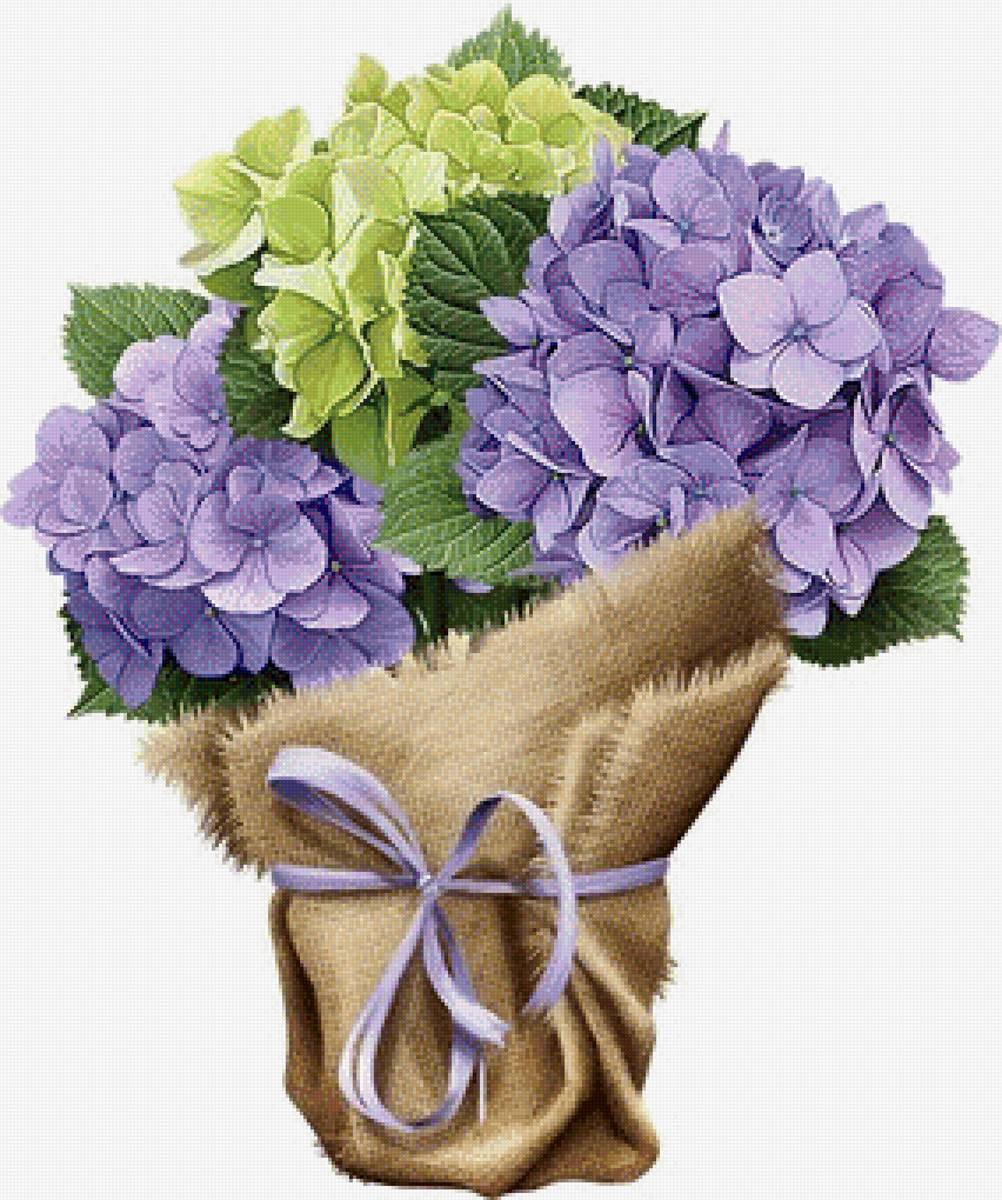 букет - букет, гортензия, цветы - предпросмотр