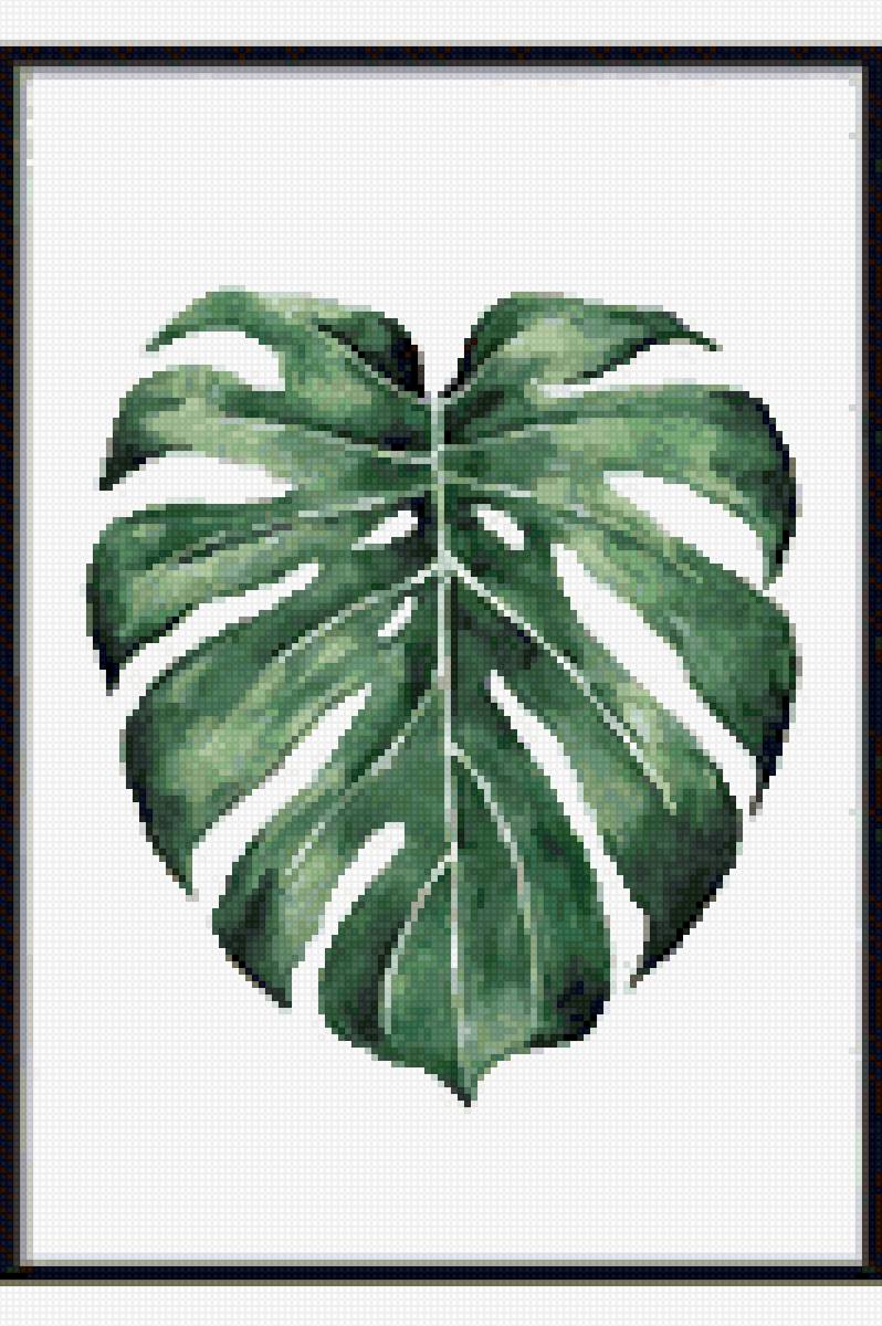 Tropical set. Palm Leaf Prints, Monstera, Art set 2 prints. Nature Inspired, Rel