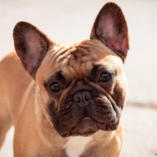 Схема вышивки «№2707956»