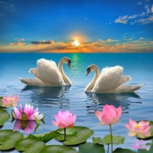 Схема вышивки «Лебеди»