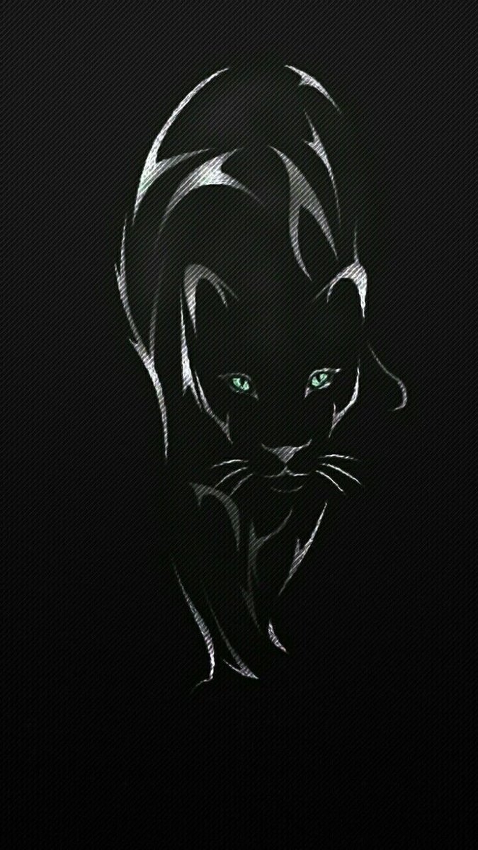 Черная кошка- в тёмной комнате - кот - оригинал