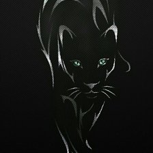 Черная кошка- в тёмной комнате