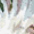 Предпросмотр схемы вышивки «Акварельные хризантемы» (№2709456)