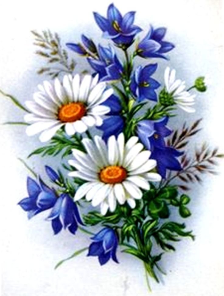 ромашки и колокольчики - оригинал