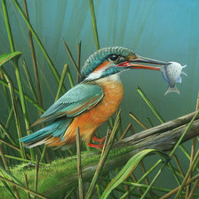 Схема вышивки «зимородок с уловом»