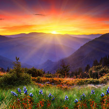 Схема вышивки «Природа»