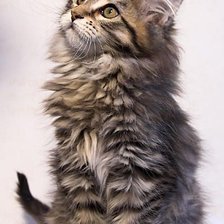 Схема вышивки «Я к Вам навсегда?»