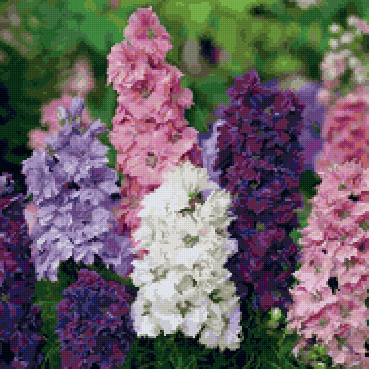 Дельфиниум - дельфиниум, цветок, цветы - предпросмотр