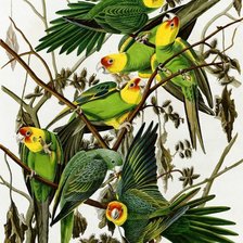 Схема вышивки «Зелёные птицы в ветвях»