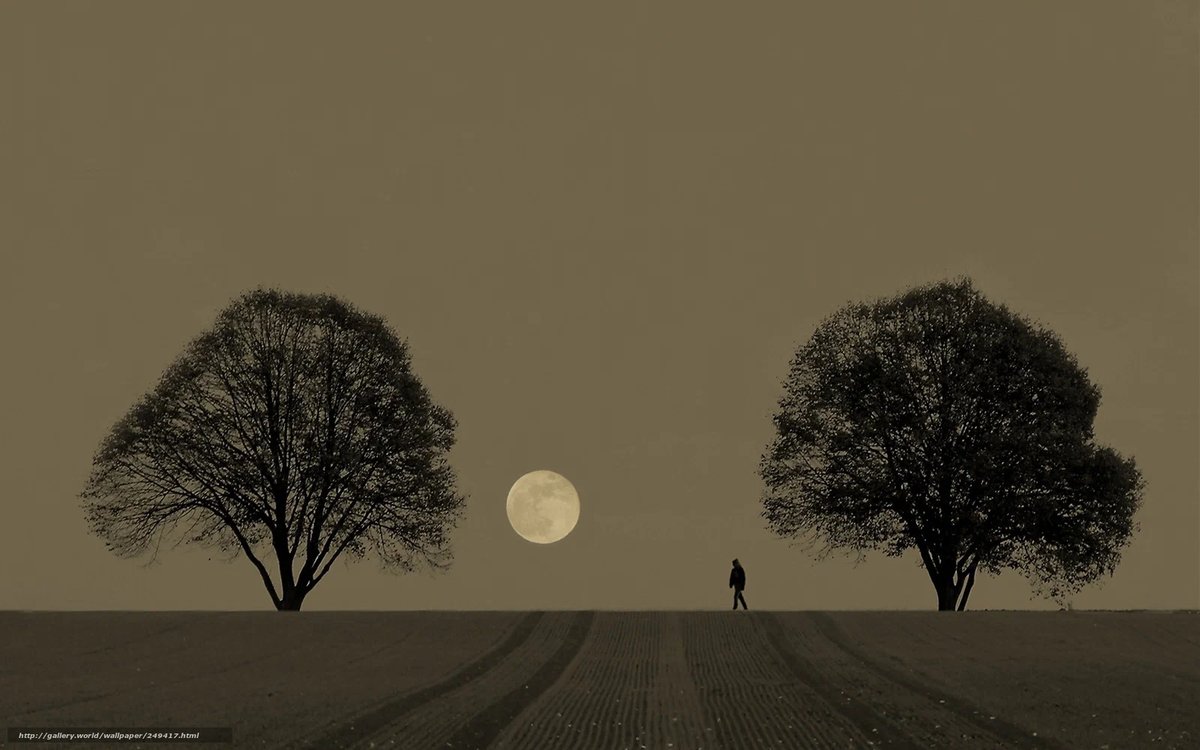 Путь - дерево, луна, ночь - оригинал