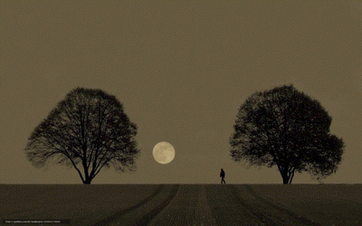 Путь - луна, ночь, дерево - предпросмотр