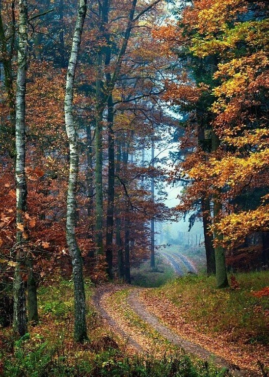 №2711661 - оригинал