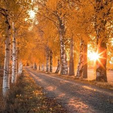 Схема вышивки «№2711662»