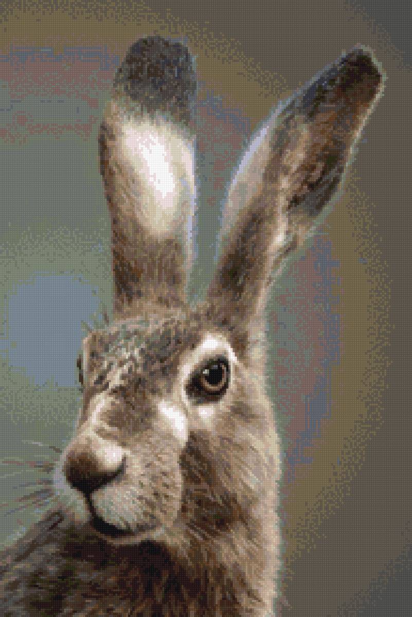 зайка - предпросмотр