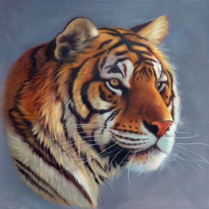 тигр - оригинал