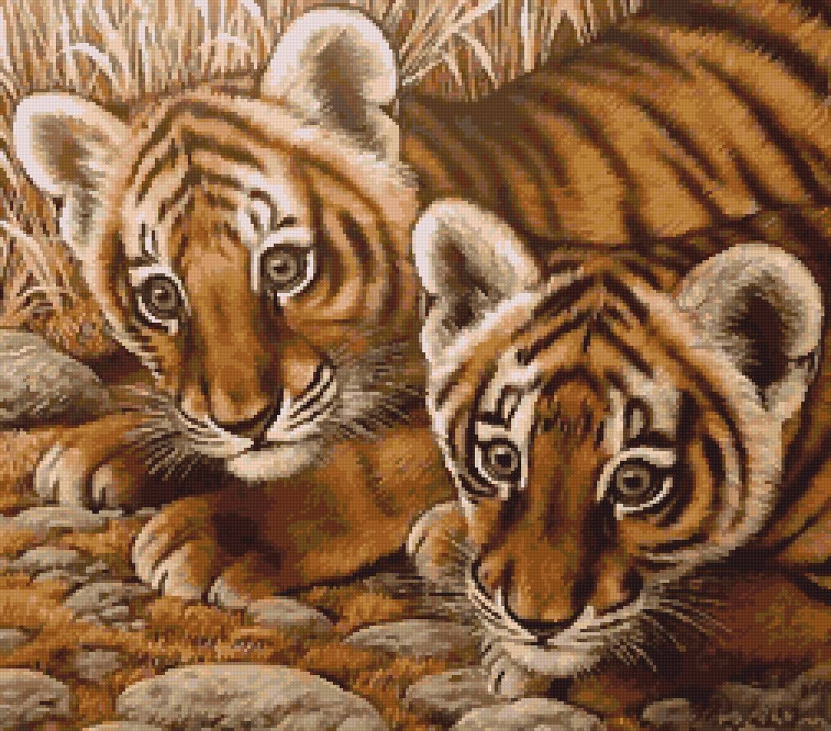 тигрята - предпросмотр