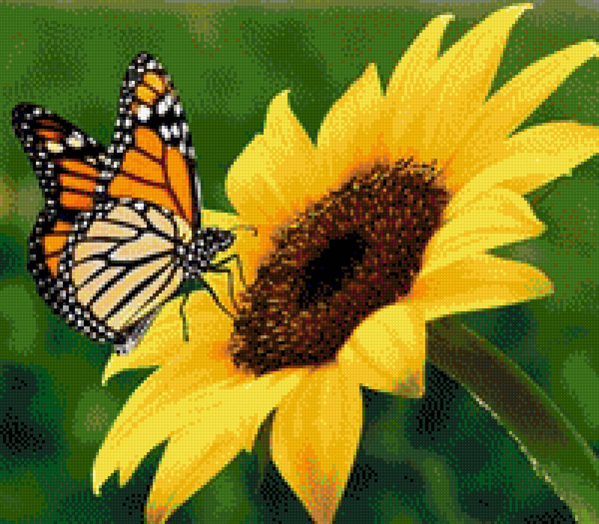 Mariposa y Girasol - girasol, mariposa, flor, monarca - предпросмотр