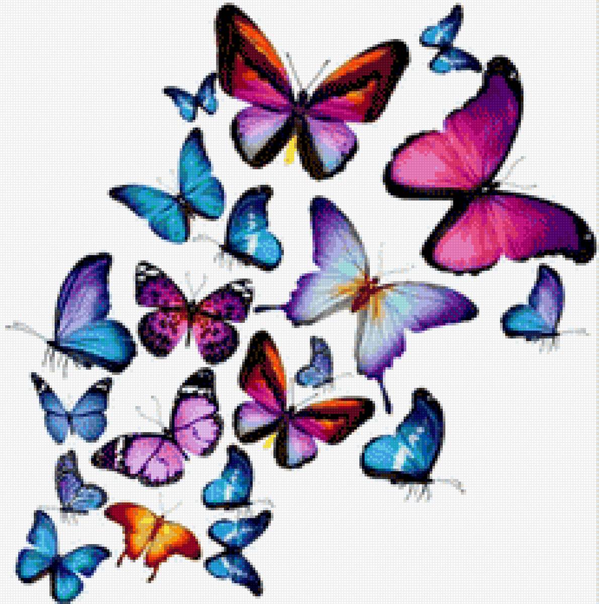 Mariposas - mariposa, animal, colores - предпросмотр