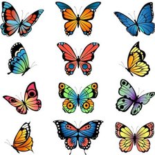 Схема вышивки «Varias mariposas»