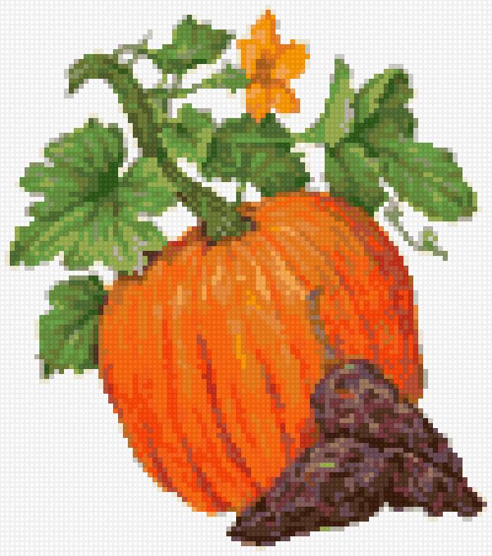 calabaza - предпросмотр