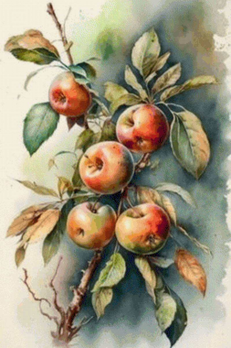 Яблоки - яблоки - предпросмотр