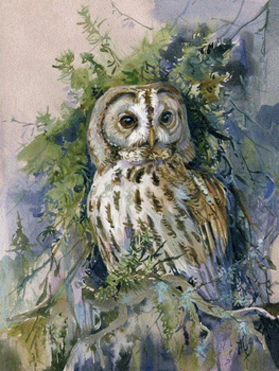 Сова - 🦉 - предпросмотр