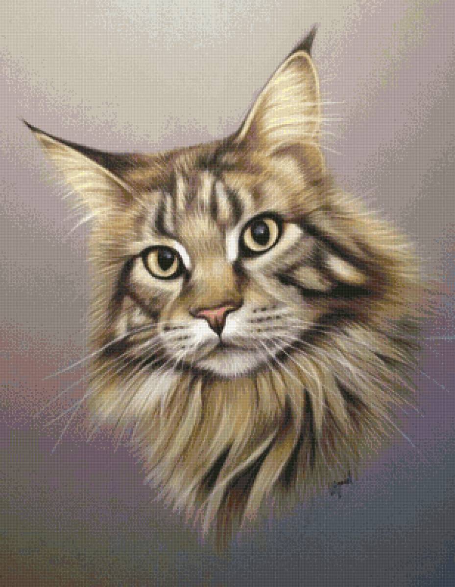 Кот рисунок цветной. Мейн-кун. Портрет кошки. Кошка цветными карандашами. Нарисованный Мейн кун.