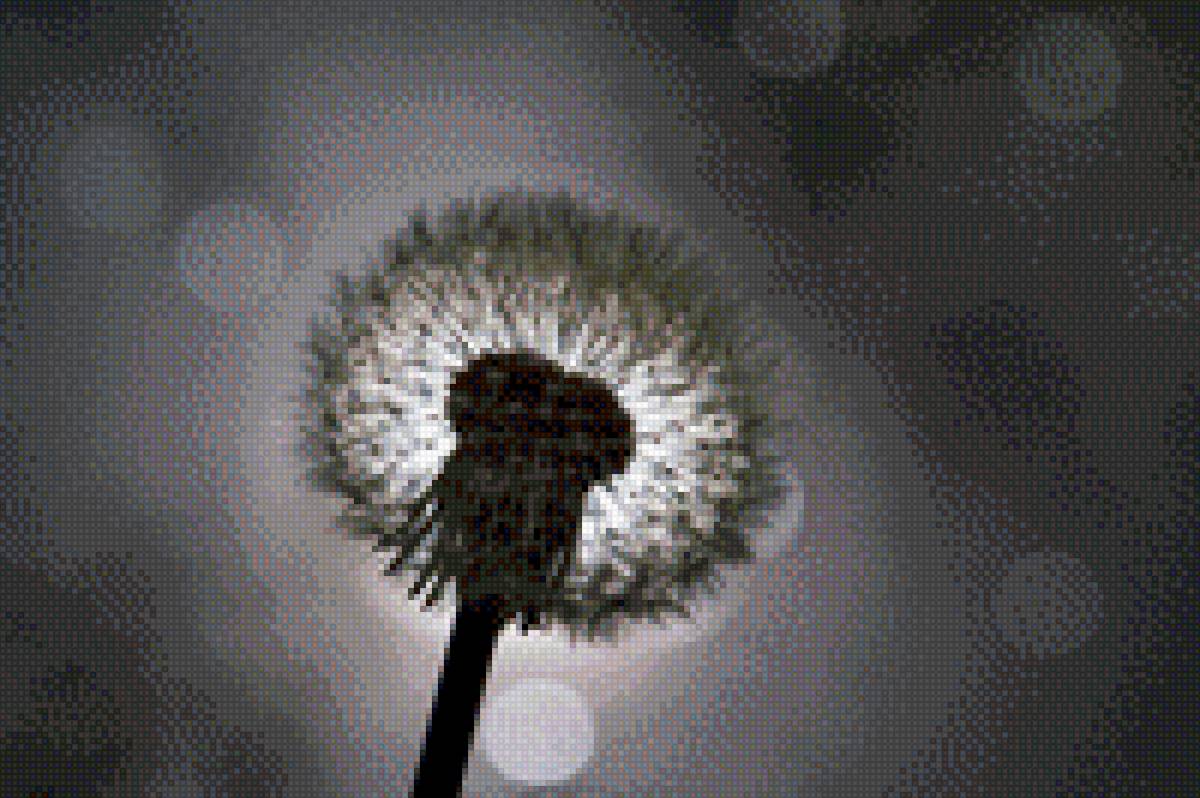 Одуванчик - настроение, цветы - предпросмотр