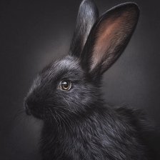 Схема вышивки «Чёрный кролик»