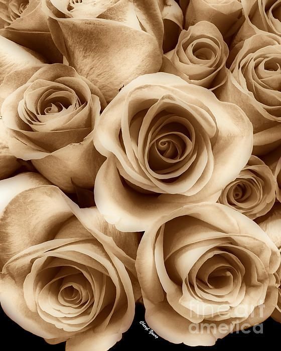 Rosas en ramo - оригинал