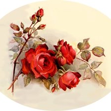 Схема вышивки «Ruze»