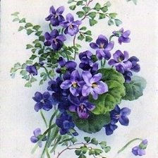 Схема вышивки «Ljubicice»