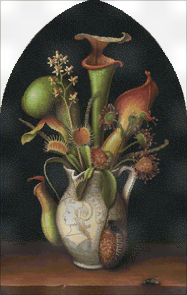 Венерина мухоловка - природа - предпросмотр