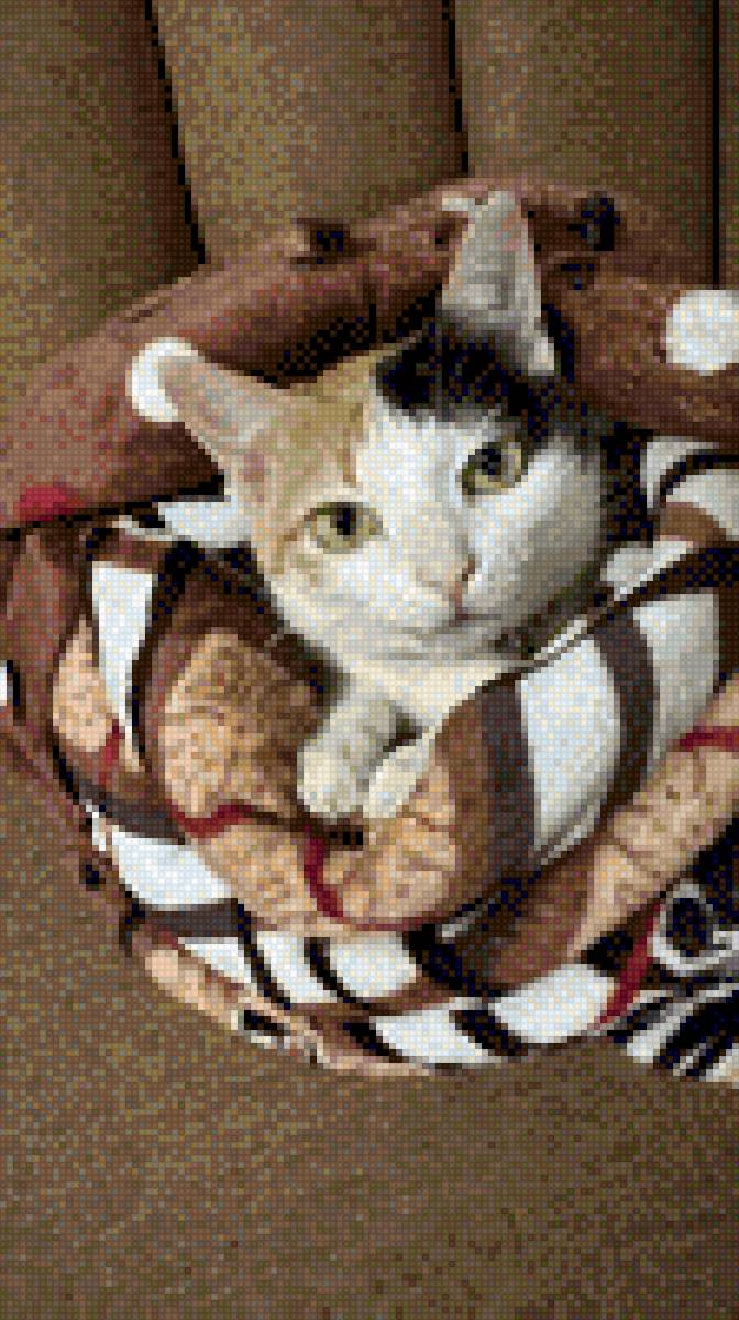 Meow - cat - предпросмотр