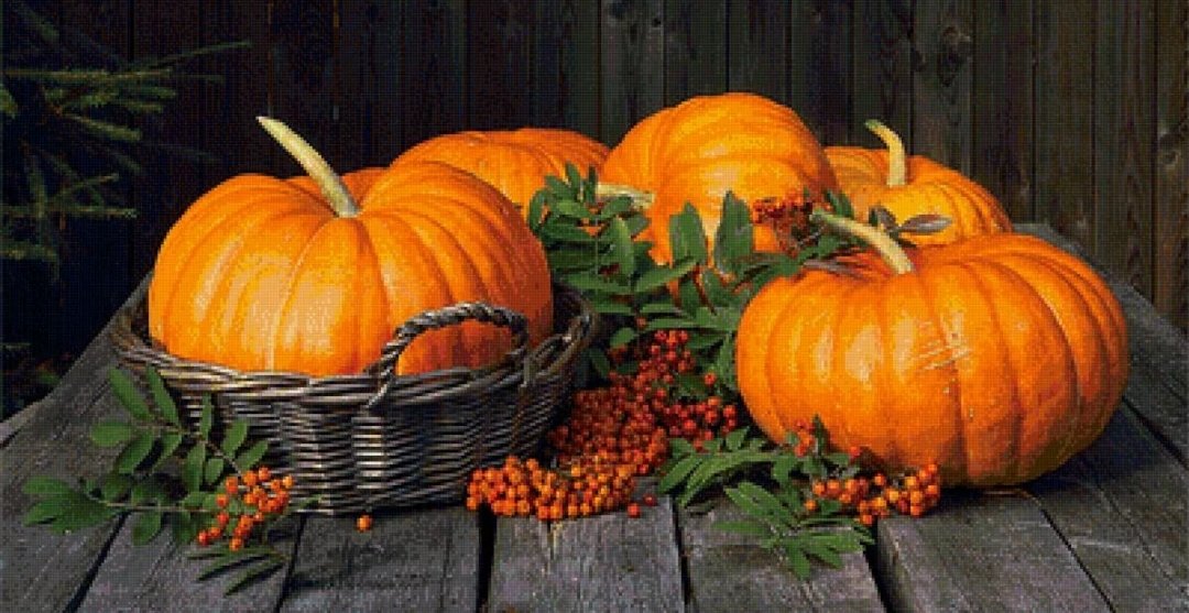 Тыквы - оригинал