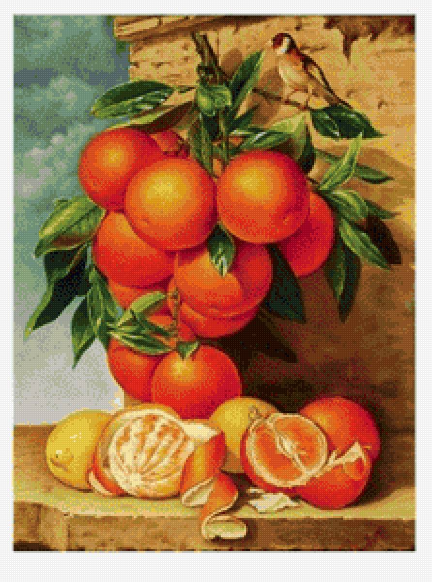 Апельсины - апельсины, фрукты - предпросмотр