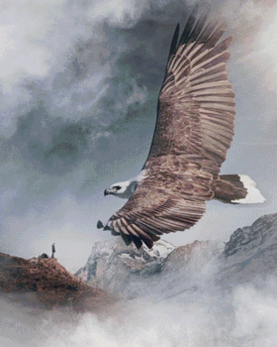 Орел - орел, горы, птицы - предпросмотр