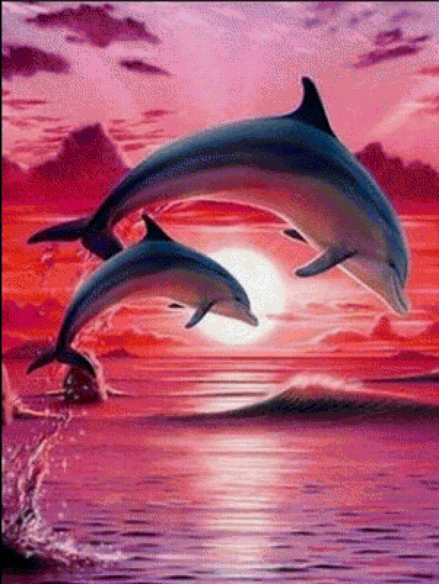 Дельфины на закате - дельфины, пейзаж, животные, природа - предпросмотр