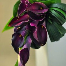 Схема вышивки «Калы»