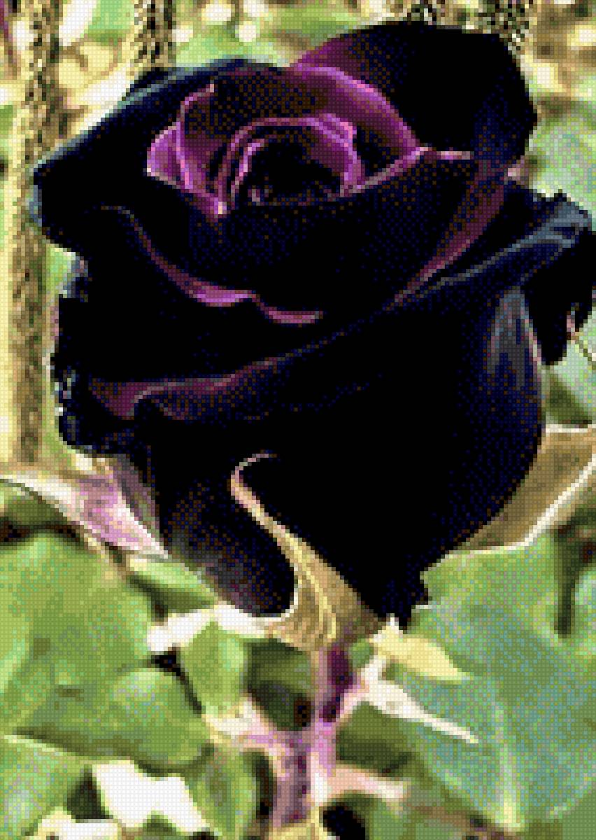 Розы - цветы - предпросмотр