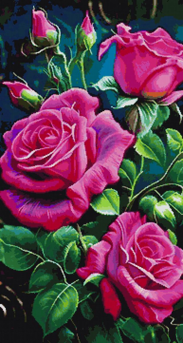 розы - предпросмотр