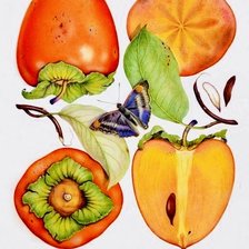 Схема вышивки «persimos»