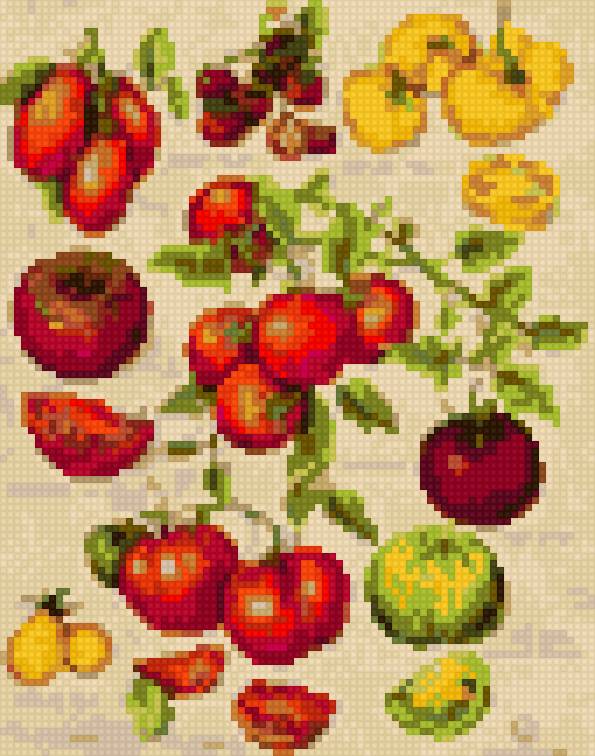 tomates - предпросмотр