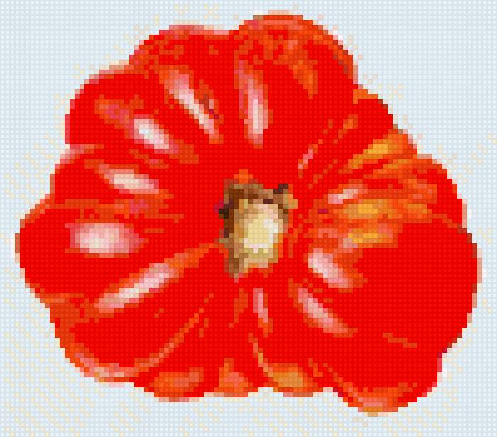 tomate - предпросмотр