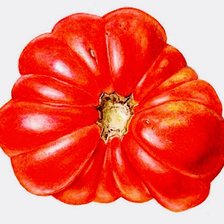 Оригинал схемы вышивки «tomate» (№2717684)
