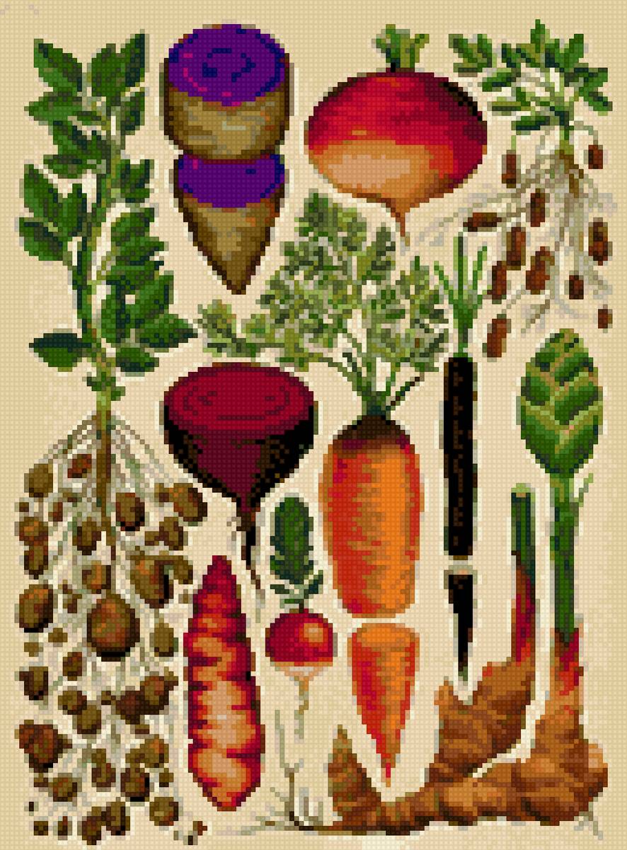 verduras - предпросмотр