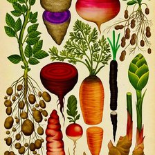 Схема вышивки «verduras»